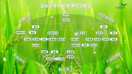 深度 | 乡村振兴，粮油加工企业大有可为——从初级农产品到产业价值链的转型升级