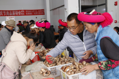 香格里拉市 电商赋能农产品加工，打造扶贫新引擎