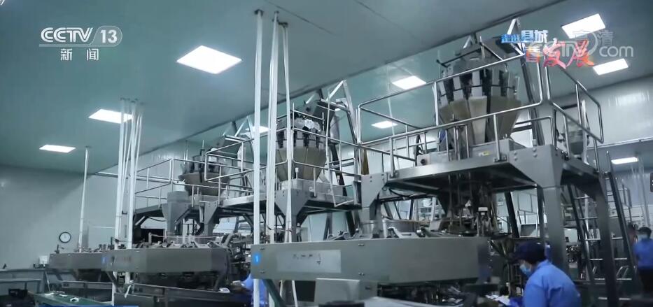 向海图强 福建霞浦培育海洋产业新动能，探索初级农产品加工转型升级之路