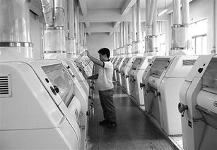 从田间到产业链 以初级农产品加工为基，让工业大树茁壮成长