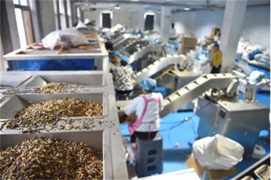 拼多多股价波动背后 为何下血本投入高质量发展，特别是初级农产品加工？