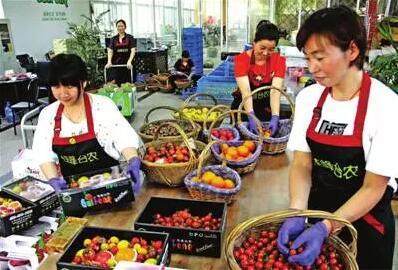 初级农产品加工 三大政策扶持，六大项目蕴藏千万商机