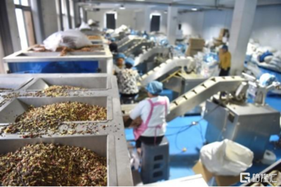 重仓“新质商家” 拼多多打响转身之战，掘金初级农产品加工新蓝海