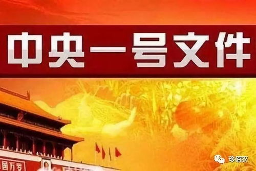 夯实农业基础，保障农产品有效供给——解读2019年中央一号文件