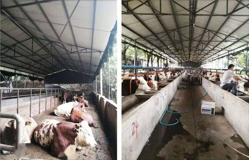 江西三农产品入选全国名特优新名录，初级加工助力农业升级