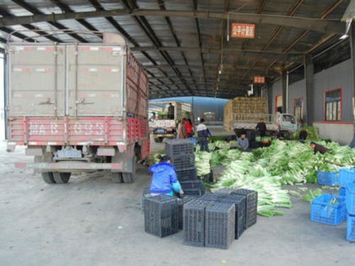 新疆维吾尔自治区农产品配送公司优秀企业推荐 初级农产品加工篇