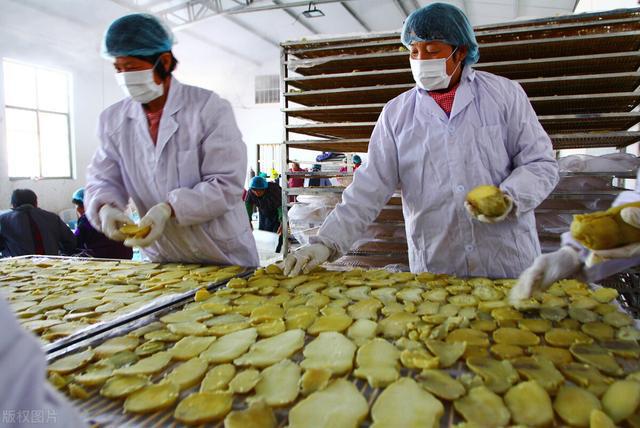 官方定调聚焦乡村产业，农民迎四大红利，十项路径发力初级农产品加工促增收