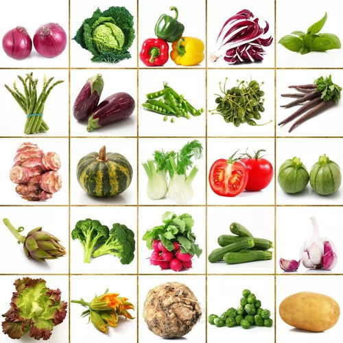 11月宜昌优质农产品产地与销区批发市场价格动态分析