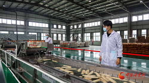 泾川 农产品深加工企业订单生产忙，初级农产品加工开启新篇章
